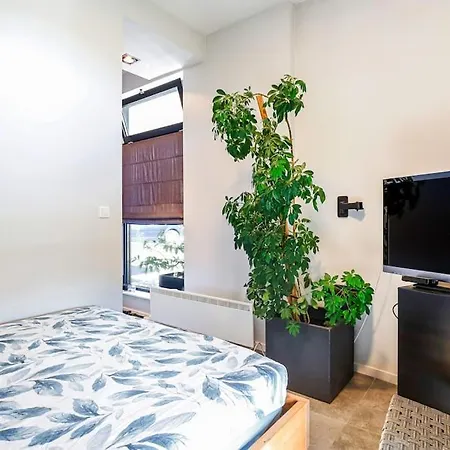 Green Flower Apartamento Sofía